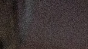 Los Coyotes de Arizona a es el único equipo de la NHL que cuenta con un grupo de propietarios latinos.