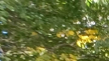 Este jueves uno de los accesos a la Alcaldía fue tomado por quienes claman por la eliminación de castigos que describen como "torturas" en el sistema correccional.