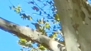 La puertorriqueña María Rodríguez "ruega a Dios" que no llueva, porque su apartamento en el Bajo Manhattan se inunda.