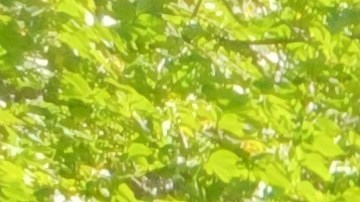 La dominicana Teresa Castillo, como miles de sobrevivientes de COVID-19, asegura que no ha recuperado el olfato.