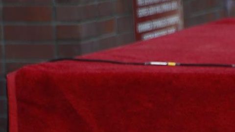 Avril Lavigne fue honrada con una estrella en el Paseo de la Fama de Hollywood.