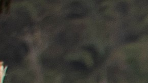 Árboles caídos sobre unos botes tras el paso del huracán Fiona en el barrio Ginandiana, en Samaná, República Dominicana.