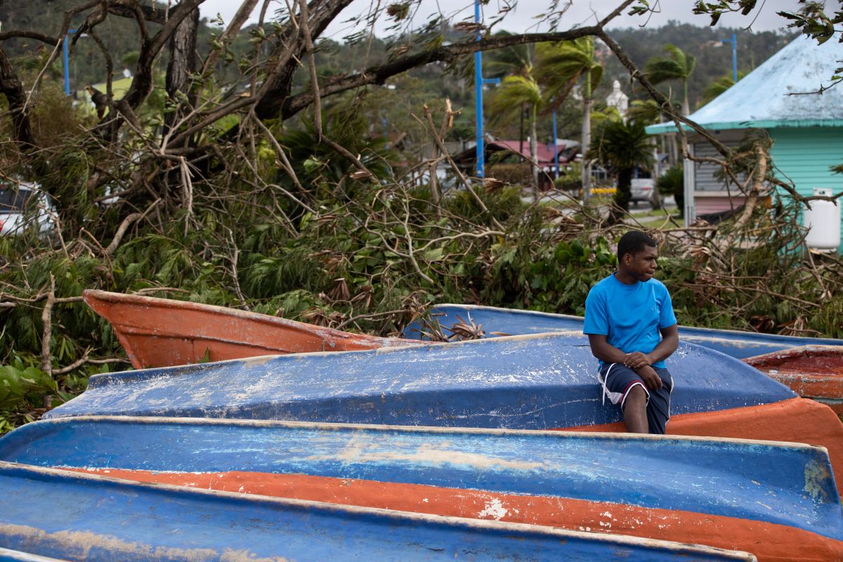 Árboles caídos sobre unos botes tras el paso del huracán Fiona en el barrio Ginandiana, en Samaná, República Dominicana.