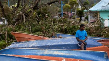 Árboles caídos sobre unos botes tras el paso del huracán Fiona en el barrio Ginandiana, en Samaná, República Dominicana.