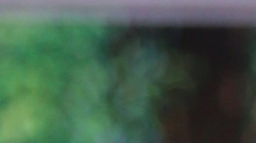 El conductor Héctor Sandarti habría asistido a un bautizo sin presuntamente haber estado sano.