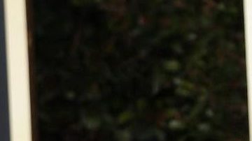 Ellen DeGeneres compró esta mansión hace apenas seis meses.