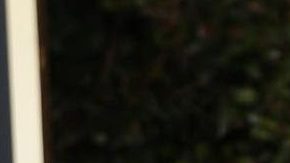 Ellen DeGeneres compró esta mansión hace apenas seis meses.