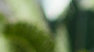 Eva Longoria muy elegante en Cannes.