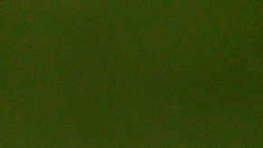 Fútbol de EE.UU. ha aumentado sus seguidores en un 52% gracias a los latinos, según estudios