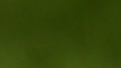 Fútbol de EE.UU. ha aumentado sus seguidores en un 52% gracias a los latinos, según estudios