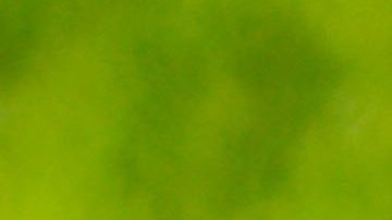 Expresidente de la Federación Salvadoreña de Fútbol fue condenado a prisión en EE.UU. por el caso FIFAGate