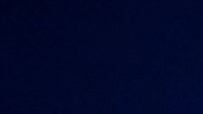 Entrenador del PSG se disculpa por su comentario sobre el cambio climático