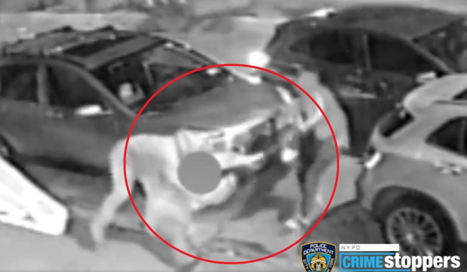 VIDEO: Brutal beating to rob old man in Queens
