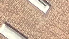 Inquilinos anunciaron que exigirán $10 millones en daños y pidieron revisiones inmediatas del agua en todos los edificios de vivienda pública