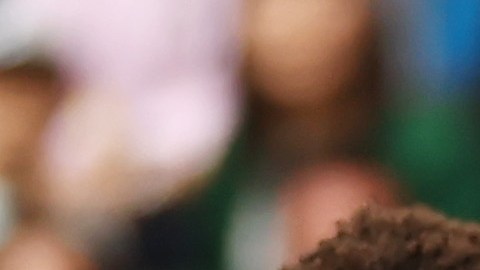 Estados Unidos perdió ante Japón en su penúltimo partido previo al Mundial Qatar 2022