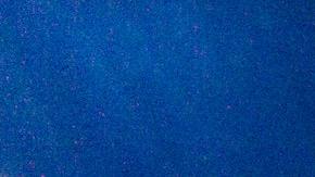 Encuentran un tiburón con una extraña apariencia y dudan sobre su origen