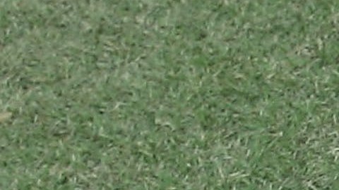 Seis sudamericano fueron reclutados para jugar fútbol en Portugal y terminaron como víctimas de trata de personas