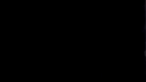 Gasolina
