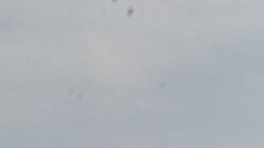 Huracán Michael Florida