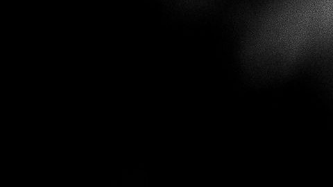 Sylvester Stallone y su esposa Jennifer Flavin se reconcilian.