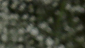 Ex esposa de Armie Hammer parece tener nuevo novio.