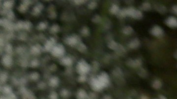 Ex esposa de Armie Hammer parece tener nuevo novio.