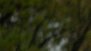 Defensores de inmigrantes presionan para que se amplíen los TPS.