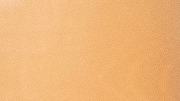 Queen Elizabeth Attends The Opening Of The Scottish Parliament