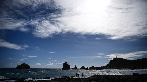 Isla Guadalupe