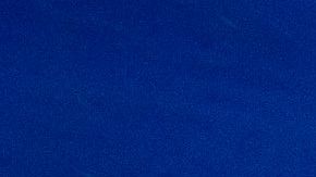 Un tiburón toro atacó y mató a la mujer de 58 años en Bahamas.