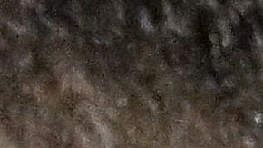 Karim Benzema aseguró que volverá con más fuerza.