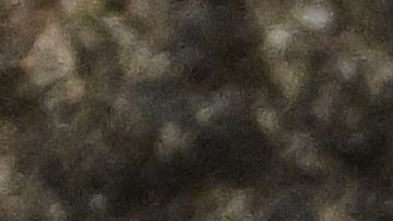 Aseguran que Mbappé ha generado discordias en el vestuario del PSG.