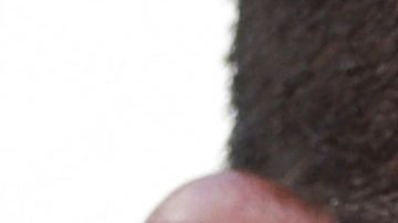 El puertorriqueño Ricky Martin y otros colegas se pronunciaron tras el fenómeno meteorológico que acabó con parte de la isla.