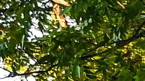 US-SCHOOL-CRIME-TEXAS