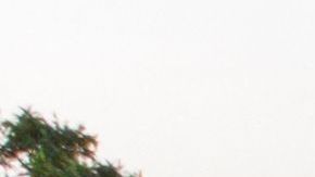 Un nuevo tiroteo se registró este jueves en Uvalde, Texas.