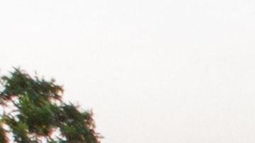 Un nuevo tiroteo se registró este jueves en Uvalde, Texas.