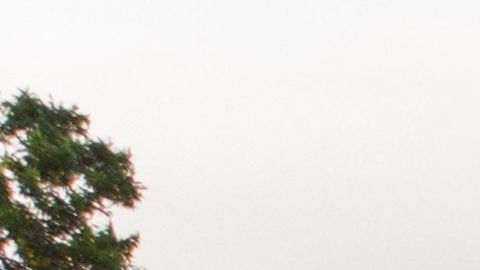 Un nuevo tiroteo se registró este jueves en Uvalde, Texas.