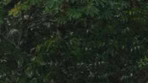 MEXICO-US-MIGRATION-CARAVAN