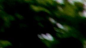 Pareciera que el 19 de septiembre es el día favorito para los sismos en México.