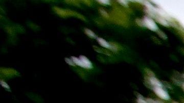 Pareciera que el 19 de septiembre es el día favorito para los sismos en México.