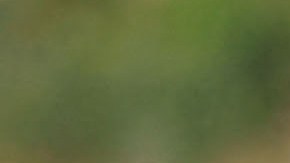 Unas 30 personas lograron sobrevivir al suceso.