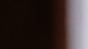 La Reina Isabel II está bajo supervisión médica.