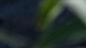 Rio Grande Rio Bravo Migrantes venezolanos Frontera