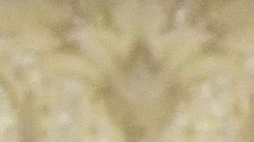 Andrés Manuel López Obrador Antony Blinken