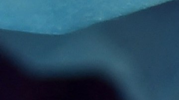 El presidente Biden indicó que la vacunación contra el Covid será similar al de la gripe.