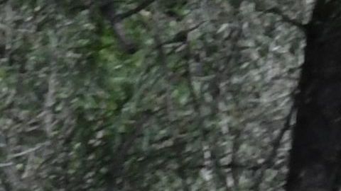 Los cuerpos de rescate llegaron al lugar del derrumbe.