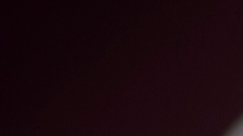 El gobernador republicano Ron DeSantis enfrenta presión por el envío de inmigrantes a Martha's Vineyard.