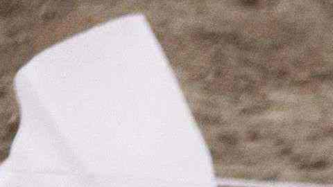 Un arqueólogo descubriendo el enorme colmillo.