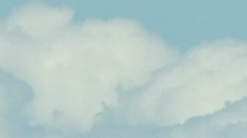 La ballena golpeó al bote provocando que volcara.