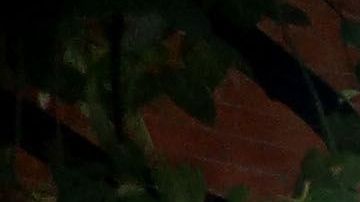 ALBANIA-IRAN-CYBER-DIPLOMACY